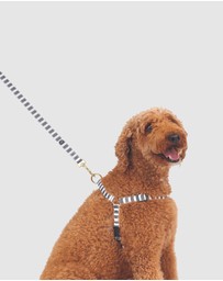 Mog & Bone - Hemp Harness - Charcoal Hampton stripe