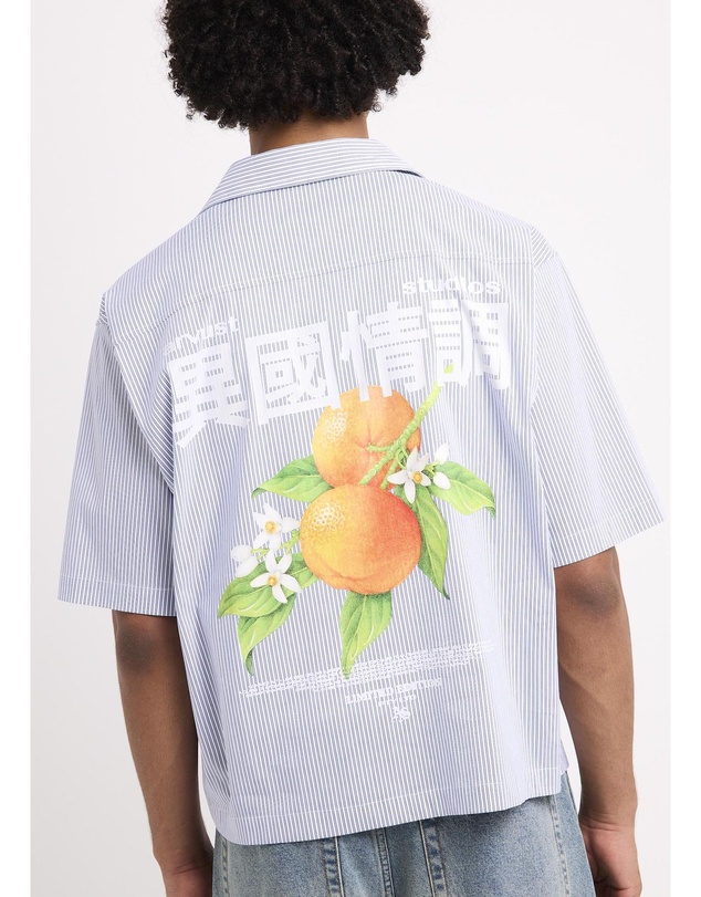 Arvust - Honolulu Cropped Shirt
