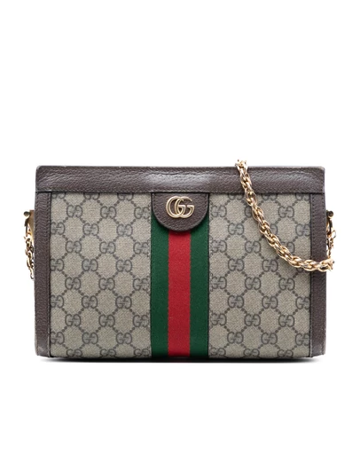 Pre-Loved by Azura Reborn - Pre-Loved Small GG Supreme Web Ophidia Chain Crossbody