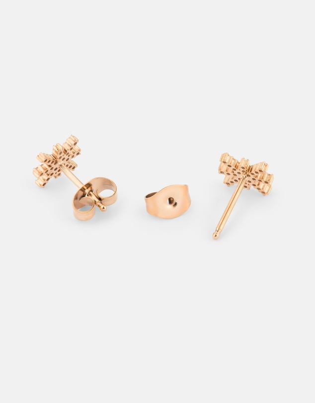 Daniel Wellington - Mirelle Star Earring RG