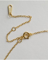 Native Sol - Leo Star Sign Pendant Necklace