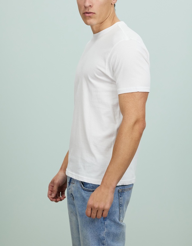 Brixton - Basic SS Tailored Tee