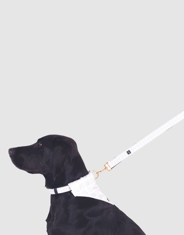 Mog & Bone - Neoprene Lead - Grey Check Print