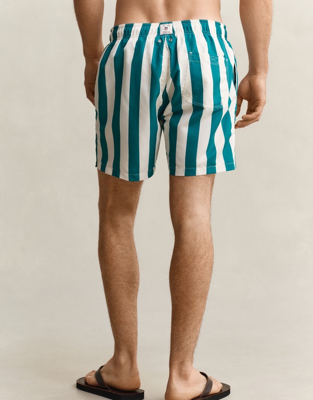 Gant - Block Striped Swim Shorts