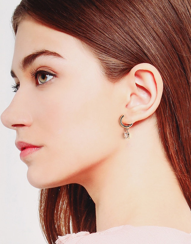 ALDO - Lionade Earrings