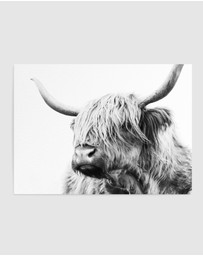 Olive et Oriel - Highland Cow Closeup Art Print
