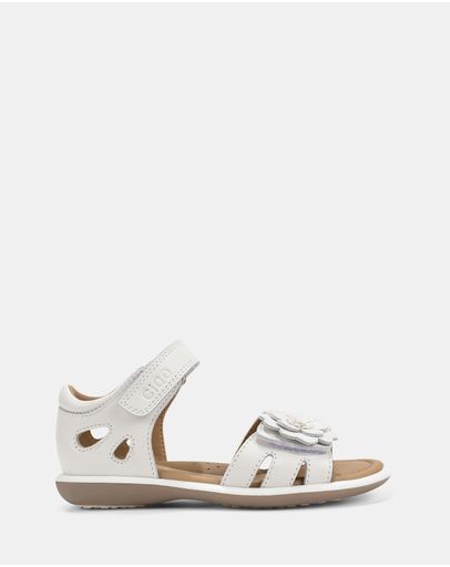 White E