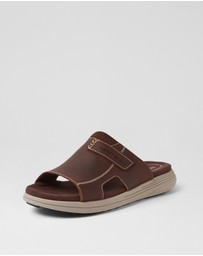 Rockport - Hamper Ro