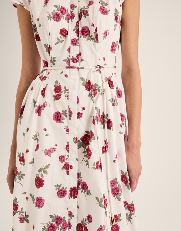 Review - Cameo Shirt Dress