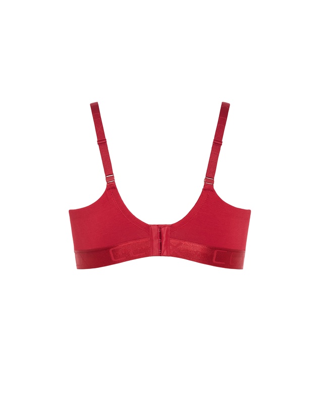 City Chic - Plus size Signature CCX Wireless Bra - shiraz