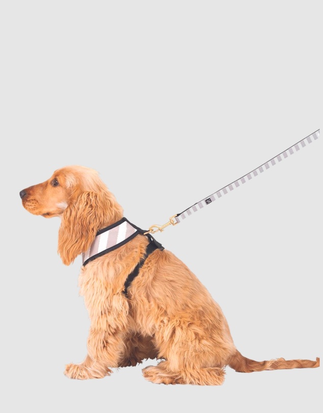 Mog & Bone - Neoprene Dog Harness - Latte Hamptons Stripe Print