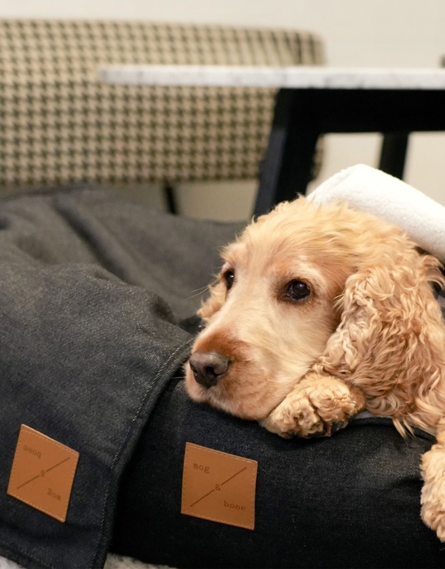 Mog & Bone - Fleece Pet Blanket - Black Denim