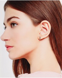 ALDO - Lionade Earrings