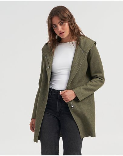 Olive Night