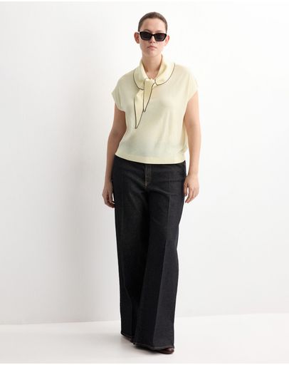Light Pastel Yellow