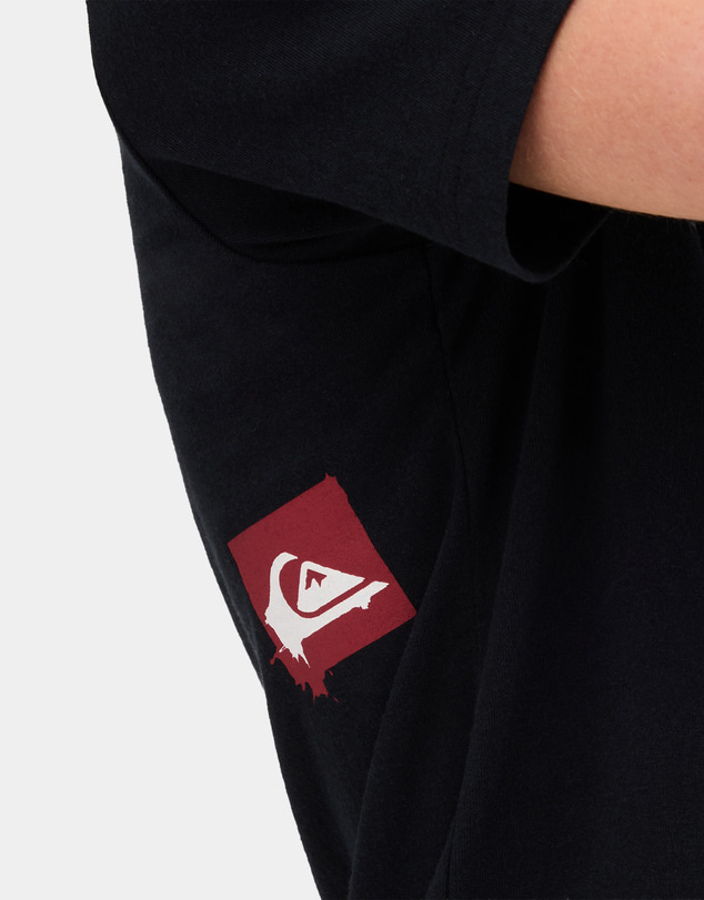 Quiksilver - Boys 8 to 16 Beserk T-Shirt