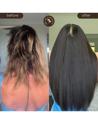 Silk Oil of Morocco - Silk Oil of Morocco - Hair Care Holy Grails
