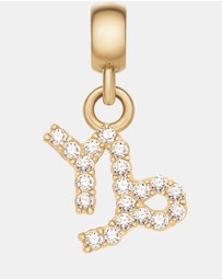 Daniel Wellington - Charm Zodiac Sign Capricorn