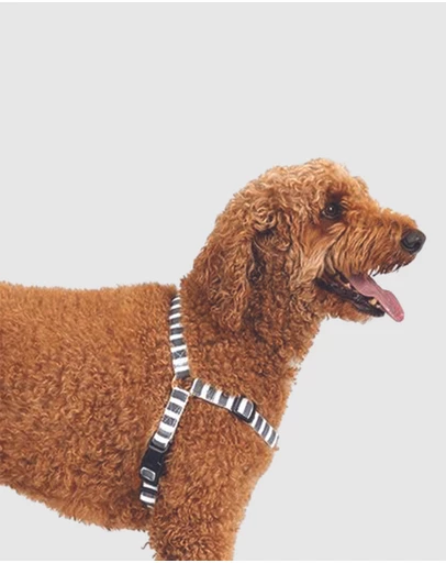 Mog & Bone - Hemp Harness - Charcoal Hampton stripe