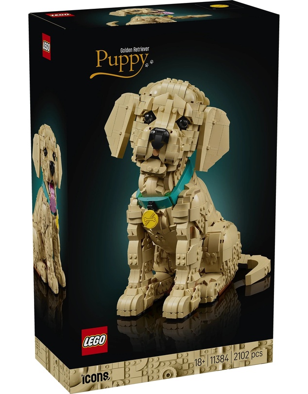 LEGO - 11384 Golden Retriever Puppy