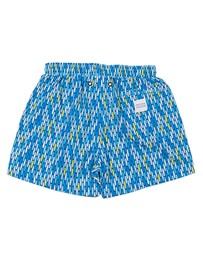 The Rocks Push - The Rocks Push Balmoral Boards Swim Shorts