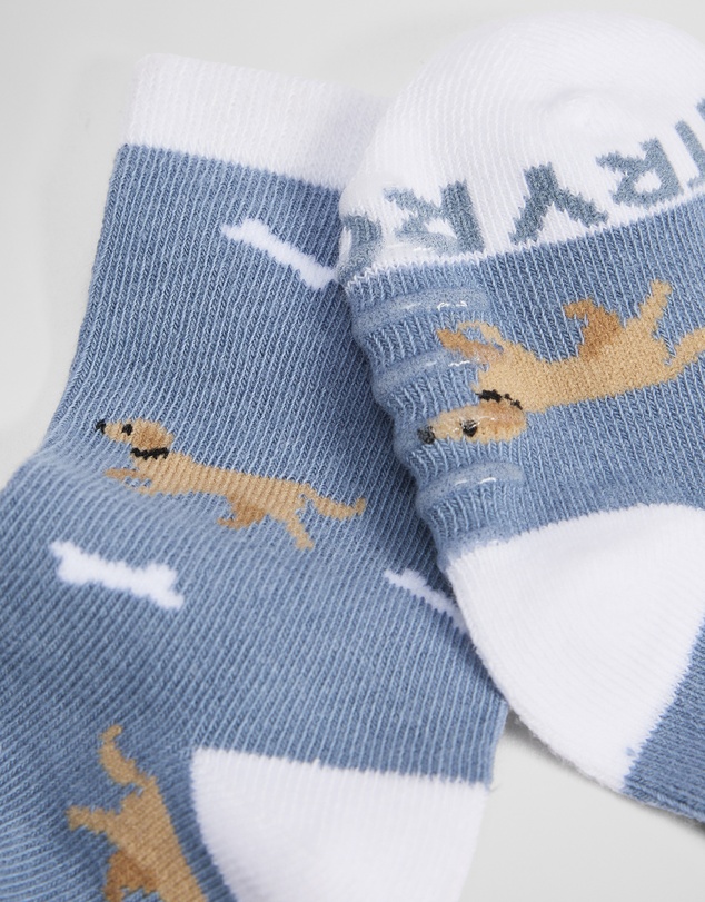Country Road - Dog Sock