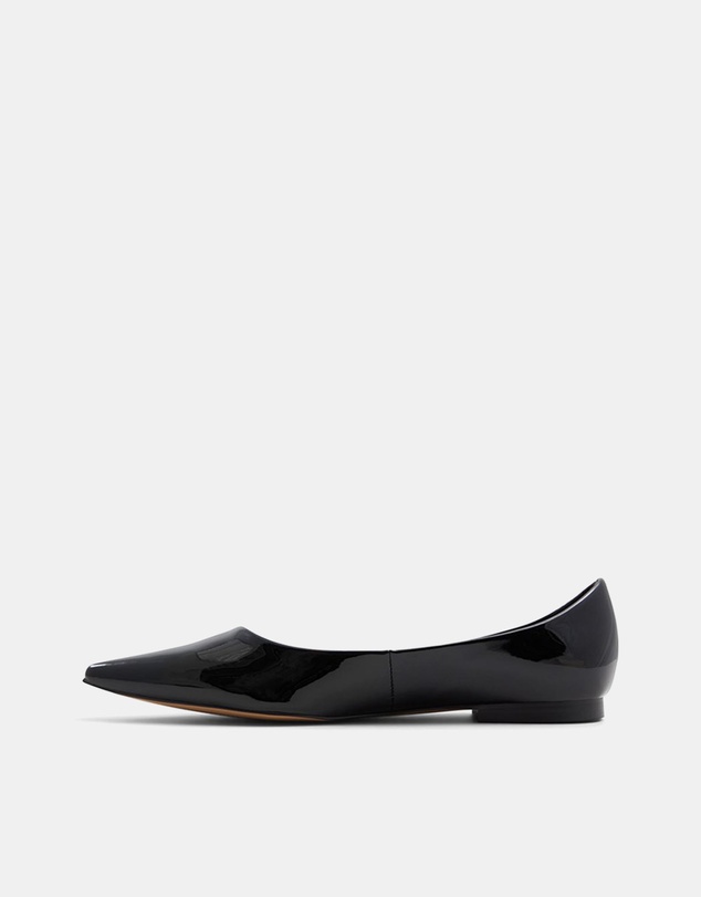 ALDO - Stessy Flat Pointed Toe Ballerina Flats