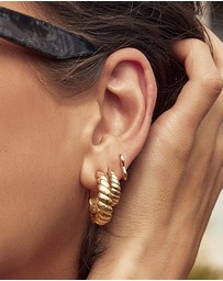 Arms Of Eve - Lulu Gold Hoop Earrings