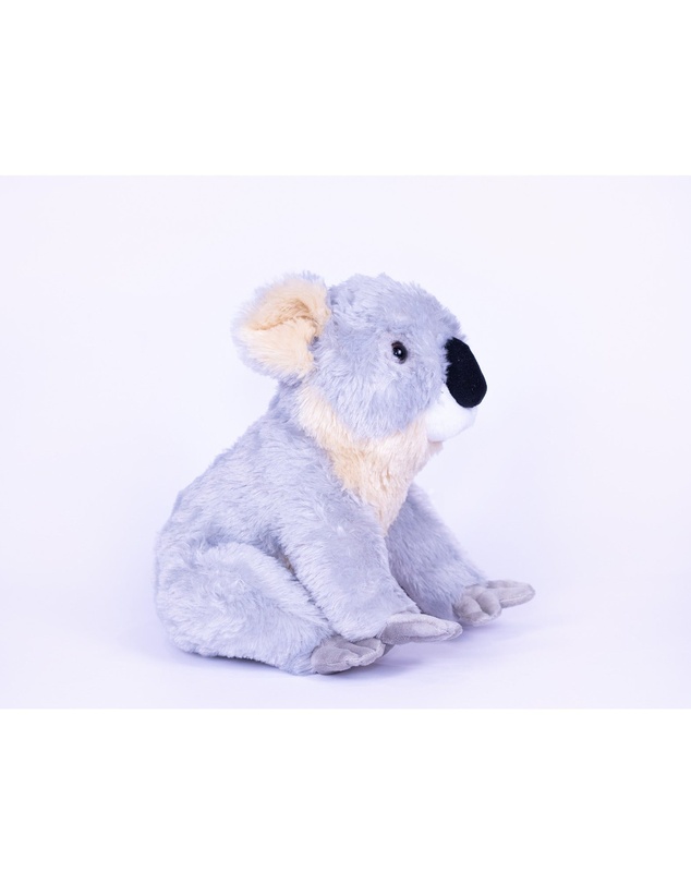Animal Allsorts - Kobe Koala