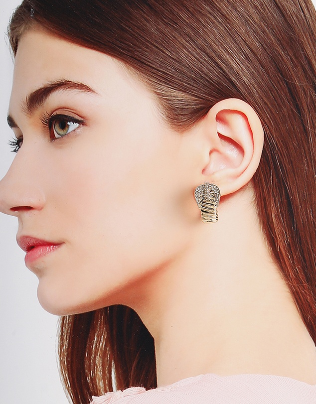 ALDO - Cintura Earrings