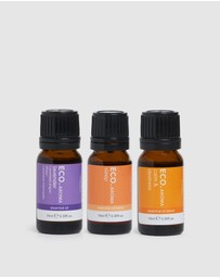 ECO. Modern Essentials - ECO. Nebulizing Diffuser & Relax & Unwind Trio Collection