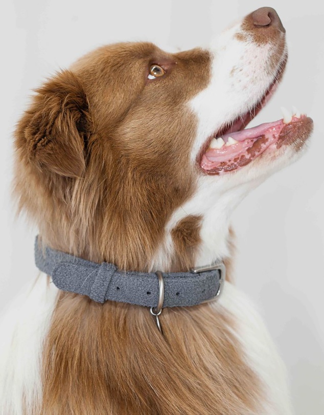 Lilly + Dash - Dog Walking Set – Matching Leash, Waste Bag Holder and Collar