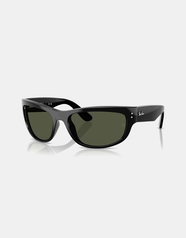 Ray-Ban - RB2289
