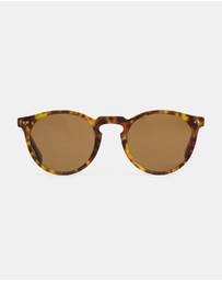 Otis - Omar - LIT Polarised