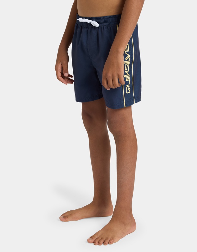 Quiksilver - Boys 8 to 16 Everyday Vert 14