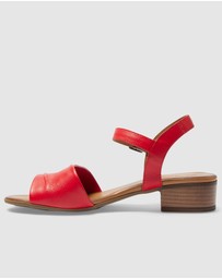 Easy Steps - Maisy