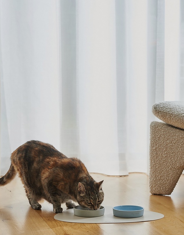 Lilly + Dash - Cat Food Water Ceramic Bowl