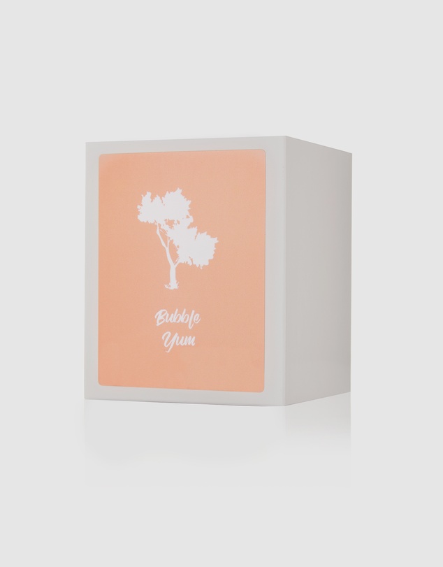 Silk Oil of Morocco - Bubble Yum Luxe Natural Soy Candle