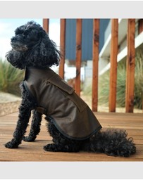 Jacaru - Jacaru 6510 Dog Coat