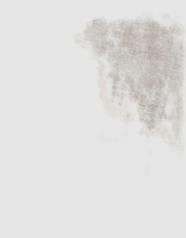 Politix - Lincoln Everyday Pant