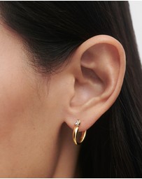 PDPAOLA - Becca Hoops