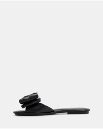ALDO - Bowetta Ballerina & Flats