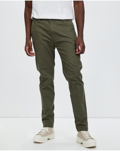 Olive Night