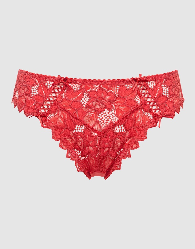 Sans Complexe - Arum Microfiber & Lace Hipster Brief
