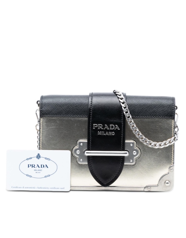 Pre-Loved by Azura Reborn - Pre-Loved Saffiano Trimmed Metallic Vitello Cahier Bag