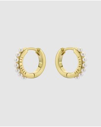 Ted Baker - Persia Pearl Huggie Earrings