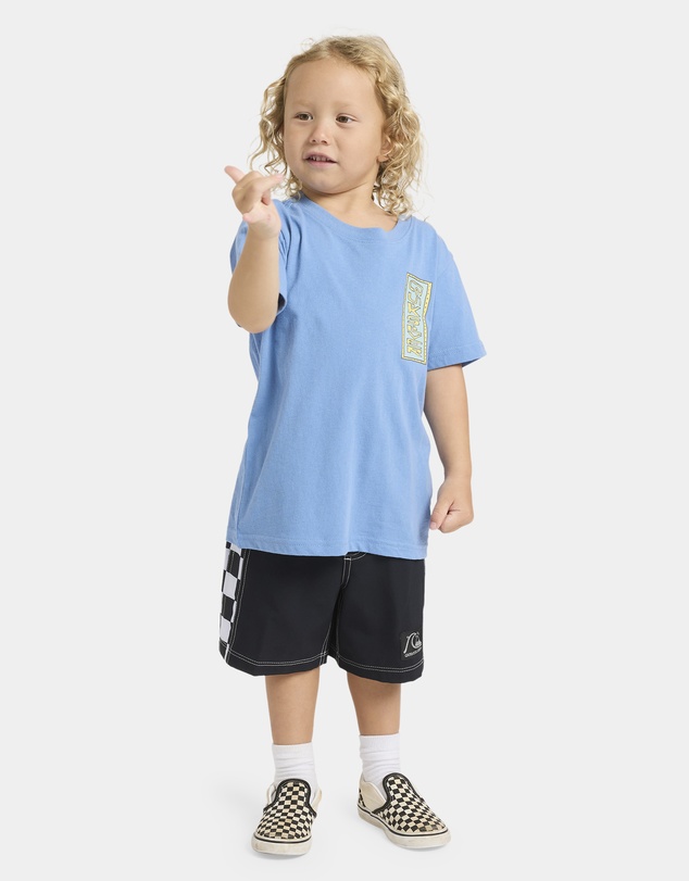Quiksilver - Boys 2 to 7 Radical Times T-Shirt