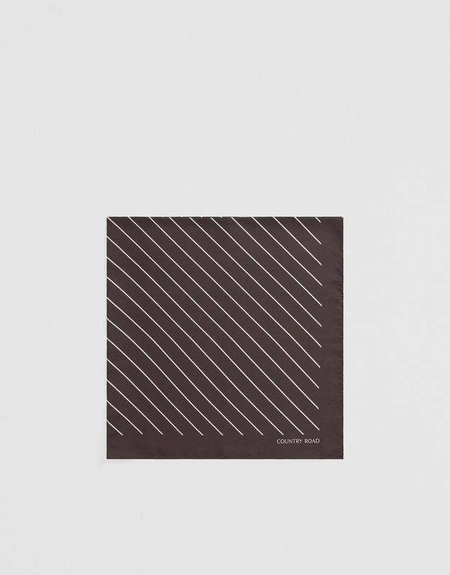 Country Road - Silk Stripe Scarf