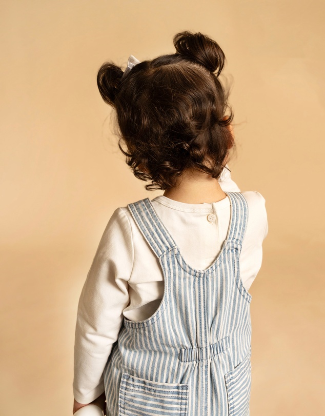 Fox & Finch - Winter Vacay Stripe Denim Overalls