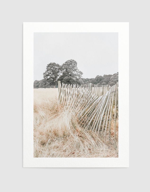 Olive et Oriel - Walk in the Fields Art Print